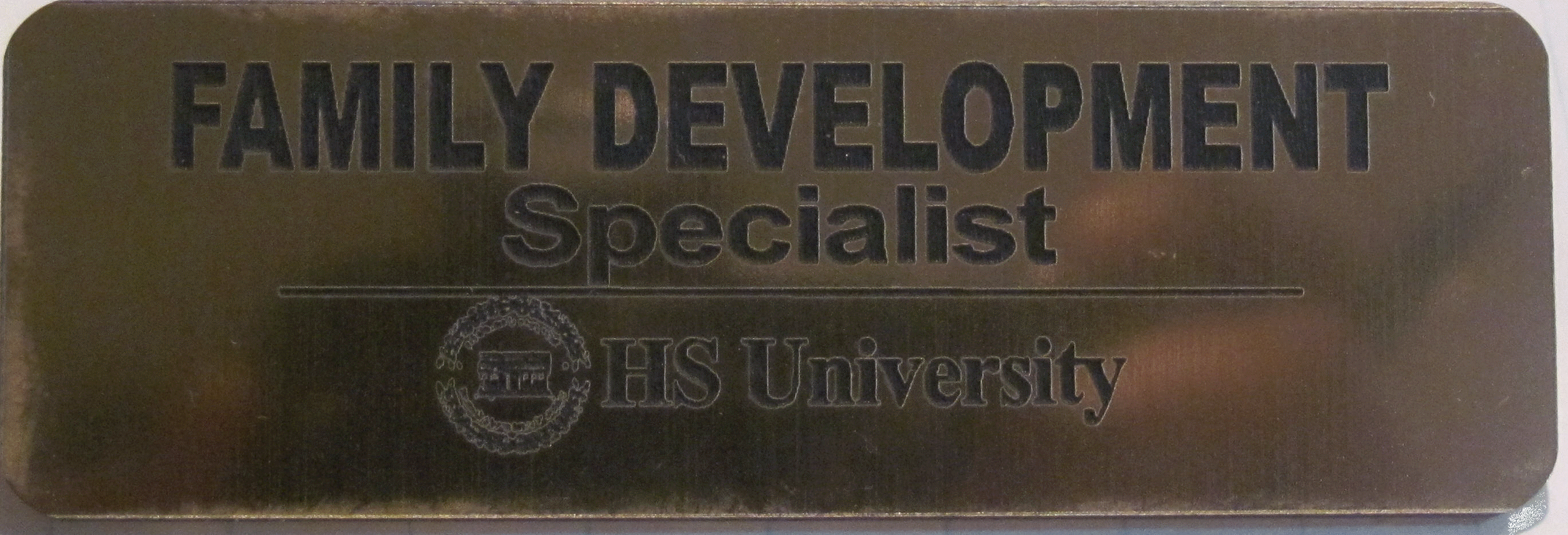 Credentialed Lapel Pin